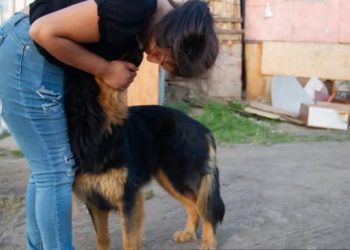 Familias de megatoma San Antonio rechazan albergue