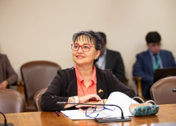 Diputada Carolina Marzán celebra incorporación de Epilepsia Refractaria en el Ges: “Llevamos años pidiéndolo junto a las organizaciones”