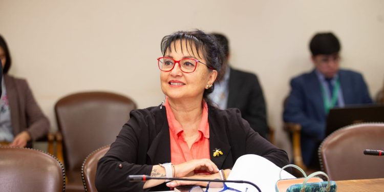 Diputada Carolina Marzán celebra incorporación de Epilepsia Refractaria en el Ges: “Llevamos años pidiéndolo junto a las organizaciones”