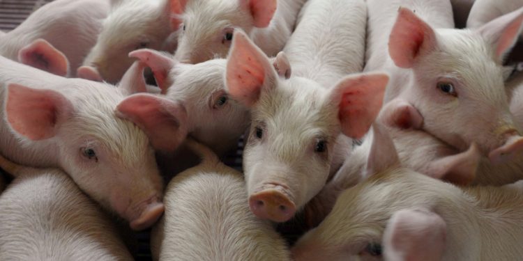 Noches calurosas disparan el estrés y deterioran la salud mental