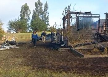 Diputada Carolina Marzán confirma que Gobierno pondrá urgencia a “Ley Alberto”; proyecto que ingresó para exigir test de drogas a choferes del transporte público y privado