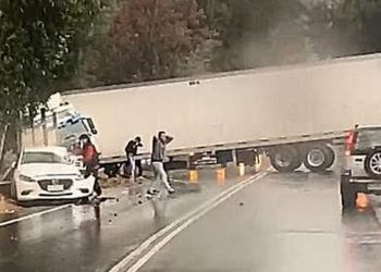 Diputada Carolina Marzán confirma que Gobierno pondrá urgencia a “Ley Alberto”; proyecto que ingresó para exigir test de drogas a choferes del transporte público y privado