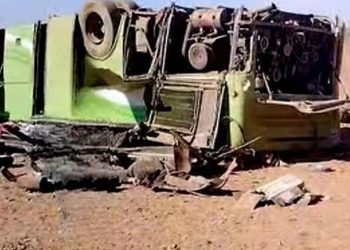 Diputada Carolina Marzán confirma que Gobierno pondrá urgencia a “Ley Alberto”; proyecto que ingresó para exigir test de drogas a choferes del transporte público y privado