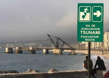 Diputada Carolina Marzán confirma que Gobierno pondrá urgencia a “Ley Alberto”; proyecto que ingresó para exigir test de drogas a choferes del transporte público y privado