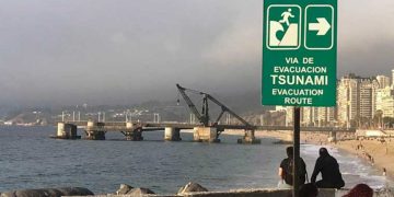 Diputada Carolina Marzán confirma que Gobierno pondrá urgencia a “Ley Alberto”; proyecto que ingresó para exigir test de drogas a choferes del transporte público y privado