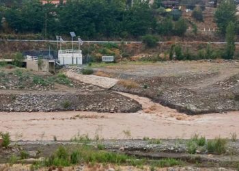 Diputada Carolina Marzán confirma que Gobierno pondrá urgencia a “Ley Alberto”; proyecto que ingresó para exigir test de drogas a choferes del transporte público y privado