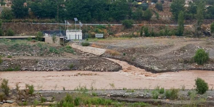 Diputada Carolina Marzán confirma que Gobierno pondrá urgencia a “Ley Alberto”; proyecto que ingresó para exigir test de drogas a choferes del transporte público y privado