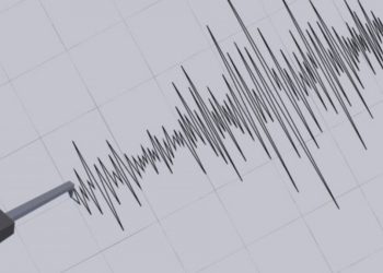 SHOA descarta tsunami en costas chilenas tras terremoto 7,6 que afectó a Japón