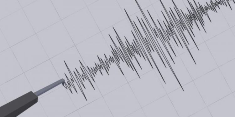 SHOA descarta tsunami en costas chilenas tras terremoto 7,6 que afectó a Japón