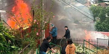 ¿Navidad anticipada? Una mirada desde las neurociencias a la ansiedad