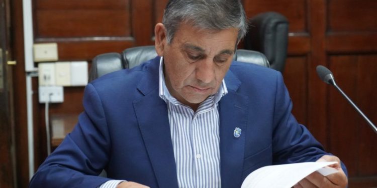 ¿Navidad anticipada? Una mirada desde las neurociencias a la ansiedad