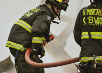 ¿Navidad anticipada? Una mirada desde las neurociencias a la ansiedad