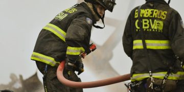 ¿Navidad anticipada? Una mirada desde las neurociencias a la ansiedad