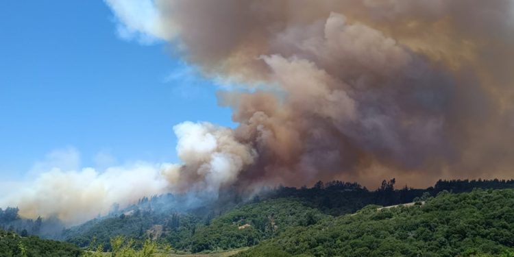 Navidad con criterio: celebrar sin hipotecar el futuro