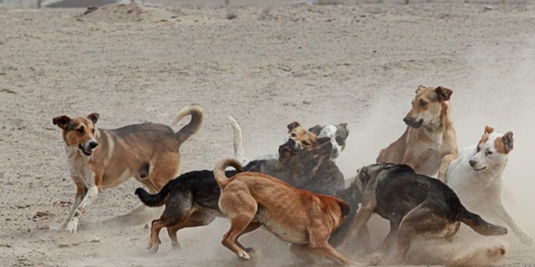 AH3N2 ya está Chile