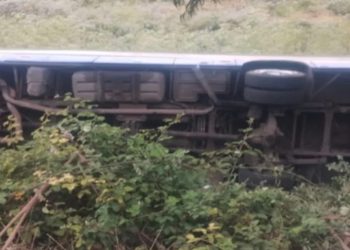 AH3N2 ya está Chile