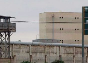 Más que ríos y lagos: por qué nuestra agua dulce es el gran tesoro de Chile