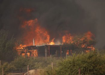 Encuentran túnel a medio construir a un costado de cárcel de Limache