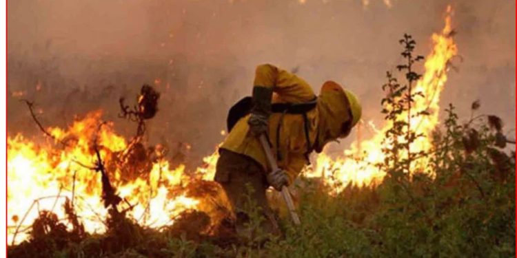 Fiestas sin malestar