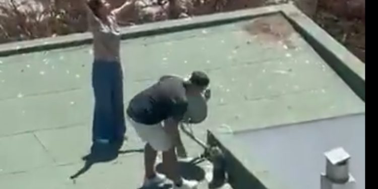 Manejo de frustración de la PAES