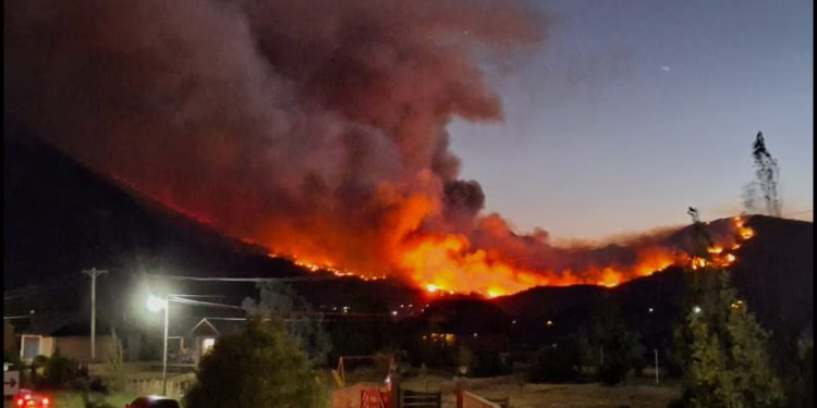 Conectividad y redes con IA: Las tendencias que irrumpirán en 2026