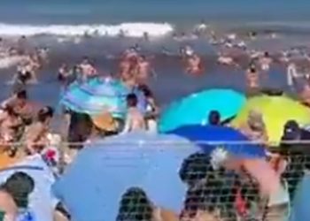 Aumenta tensión tras denuncia sobre Camila Nieto y ocultación de información sobre administración Sharp