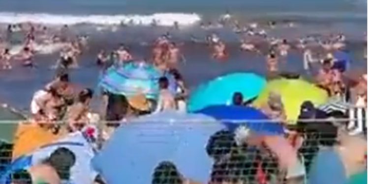 Aumenta tensión tras denuncia sobre Camila Nieto y ocultación de información sobre administración Sharp