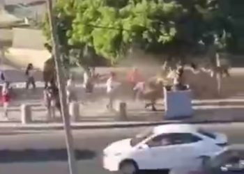 Inicio de año consciente