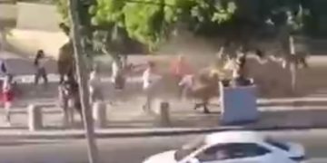 Inicio de año consciente