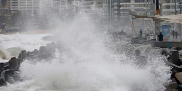 Inicio de año consciente