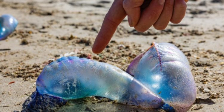 Celebramos un avance para las personas mayores