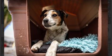 Otitis de verano: las consultas aumentan hasta un 25% durante los meses de calor