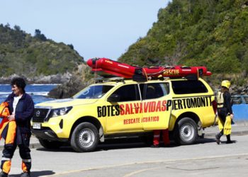 La violencia de opinar de todo