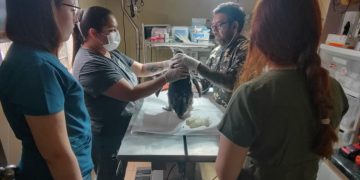 La violencia de opinar de todo