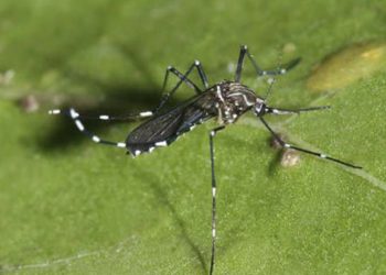 Tras 29 meses familias inician retorno a edificio Kandinsky luego de emergencia por socavón