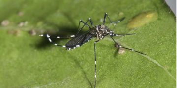 Tras 29 meses familias inician retorno a edificio Kandinsky luego de emergencia por socavón