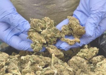 Concón solicita refuerzo urgente de dotación de Carabineros