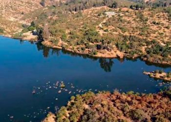 Cuando el entretenimiento genera sufrimiento