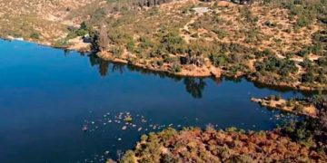 Cuando el entretenimiento genera sufrimiento