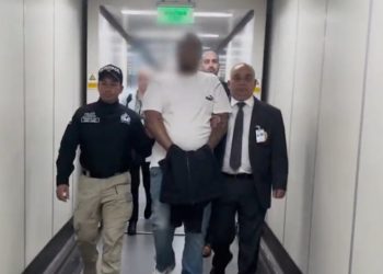 Picaduras de abeja: una reacción que puede transformarse en una urgencia vital