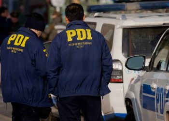 Picaduras de abeja: una reacción que puede transformarse en una urgencia vital