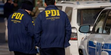 Picaduras de abeja: una reacción que puede transformarse en una urgencia vital