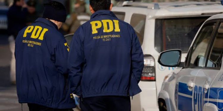 Picaduras de abeja: una reacción que puede transformarse en una urgencia vital