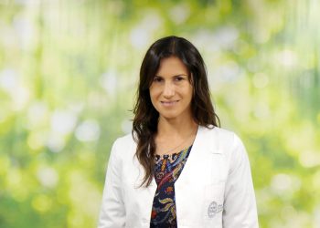 Picaduras de abeja: una reacción que puede transformarse en una urgencia vital