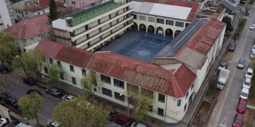 Picaduras de abeja: una reacción que puede transformarse en una urgencia vital