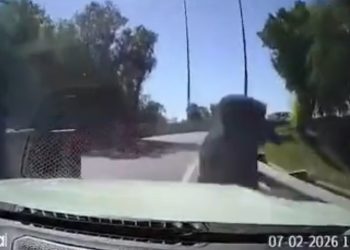 Seremi de Salud refuerza llamado a la vacunación contra el sarampión en niños y niñas