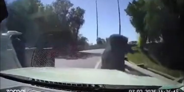 Seremi de Salud refuerza llamado a la vacunación contra el sarampión en niños y niñas