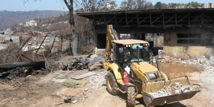 Vejez y trabajo: elegir hasta dónde seguir