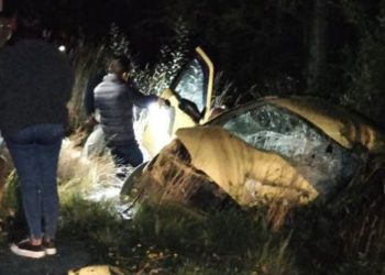 Frutillas con chocolate