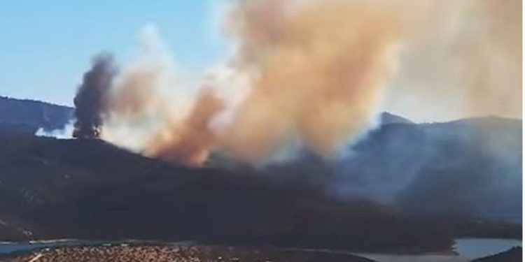 Frutillas con chocolate